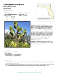 Lumnitzera racemosa black mangrove Combretaceae Common Synonyms: none  FLEPPC Category: 1