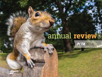 annual review 2014 Dear Friends, 2014 was another banner year for PETA and the animals we defend.