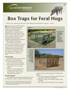 LBox Traps for Feral Hogs Chancey Lewis, Matt Berg, Nikki Dictson, Jim Gallagher, Mark McFarland, and James C. Cathey*