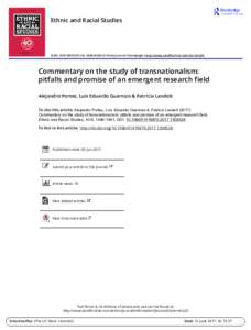 Commentary on the study of transnationalism: pitfalls and promise of an emergent research field