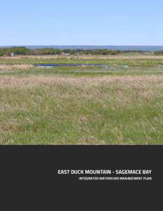 EAST DUCK MOUNTAIN - SAGEMACE BAY INTEGRATED WATERSHED MANAGEMENT PLAN 2  EAST DUCK MOUNTAIN - SAGEMACE BAY