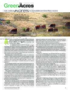 GreenAcres Lush, seeded pastures sprout with all sorts of possibilities for Great Plains ranchers A breeding group of Hereford cattle graze native rangeland at the Fort Keogh Livestock and Range Research