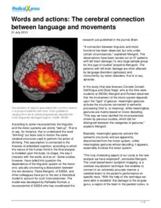 Words and actions: The cerebral connection between language and movements