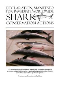 An initiated global correspondence toward issue recognition, situational awareness and public information regarding biological destruction of sharks and related or associated species and systems. A demonstrated consensus