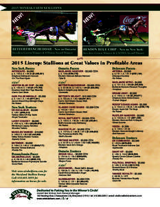 2015 WINBak farm stallions  ! !