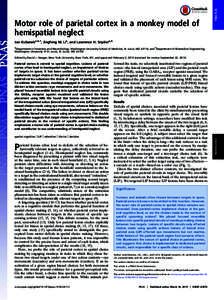 PNAS PLUS  Motor role of parietal cortex in a monkey model of hemispatial neglect Jan Kubaneka,b,1, Jingfeng M. Lia, and Lawrence H. Snydera,b a