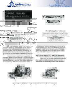 Wildlife Damage Management Series Commensal Rodents Ben C. West and Terry A. Messmer