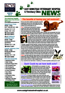 EAST GRINSTEAD VETERINARY HOSPITAL & Veterinary Clinics NEWS ff