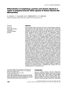 doi: [removed]j[removed]01544.x  Differentiation of morphology, genetics and electric signals in a region of sympatry between sister species of African electric fish (Mormyridae) S. LAVOUE´ , J. P. SULLIVAN 1 , M.