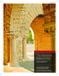 The Stanford Natural Gas Initiative School of Earth, Energy & Environmental Sciences Precourt Institute for Energy