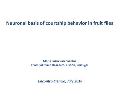 Neuronal basis of courtship behavior in fruit flies  Maria Luisa Vasconcelos Champalimaud Research, Lisbon, Portugal  Encontro Ciência, July 2016