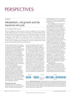 Metabolism, cell growth and the bacterial cell cycle