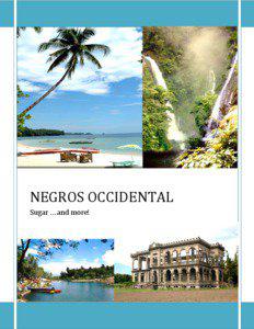   NEGROS OCCIDENTAL  Sugar … and more!  
