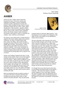 Australian Fossil and Mineral Museum FACT SHEET Professor Warren Somerville AMBER Amber has been a highly valued material for