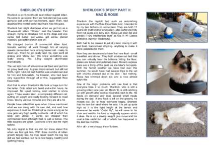 SHERLOCK’S STORY Sherlock is an 8-month-old seal mitted ragdoll kitten. He came to us sooner than we had planned (we were going to wait until our two bichons, aged 11ish, had departed this mortal world) but that’s ho