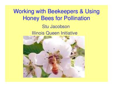 Working with Beekeepers & Using Honey Bees for Pollination Stu Jacobson Illinois Queen Initiative  Pollination: pollen goes from anther to