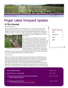 Finger Lakes Grape Program  June 17, 2015 In The Vineyard Hans Walter-Peterson