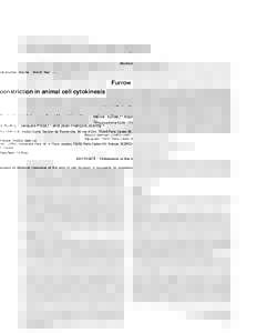 Biophysical Journal: Volume .. Month YearFurrow constriction in animal cell cytokinesis Herve´ Turlier,† * Basile Audoly,‡ Jacques Prost,† § and Jean-Franc¸ois Joanny † † Physicochimie Curie (CNRS-