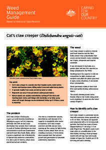 Weed Management Guide Weed of National Significance  Cat’s claw creeper (Dolichandra unguis-cati)