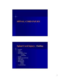 Microsoft PowerPoint - I  SPINAL CORD INJURY anatomy.ppt [Compatibility Mode]