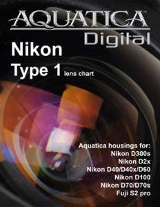 TYPE 1 FOR NIKON  For Nikon D300s, D2x, D40x, D70/D70s, D100 & Fuji S2 Pro 6