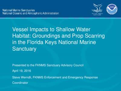 Vessel Impacts to Shallow Water Habitat: Groundings and Prop Scarring in the Florida Keys National Marine Sanctuary Presented to the FKNMS Sanctuary Advisory Council April 19, 2016