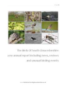 P a g e |1  The Birds Of South Gloucestershire 2010 annual report including news, reviews and unusual birding events