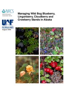 Natural Resources Conservation Service August[removed]Managing Wild Bog Blueberry,