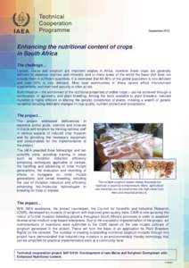 September 2013 September 2010 Enhancing the nutritional content of crops in South Africa The challenge…