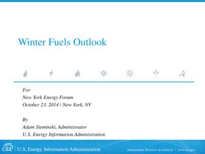 Winter Fuels Outlook  For New York Energy Forum October 23, 2014 | New York, NY By