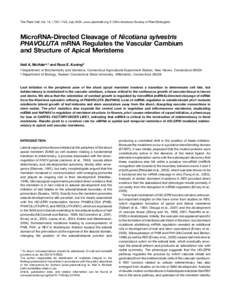The Plant Cell, Vol. 16, 1730–1740, July 2004, www.plantcell.org ª 2004 American Society of Plant Biologists  MicroRNA-Directed Cleavage of Nicotiana sylvestris PHAVOLUTA mRNA Regulates the Vascular Cambium and Struct