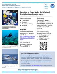 Recruiting for Flower Garden Banks National Marine Sanctuary Advisory Council