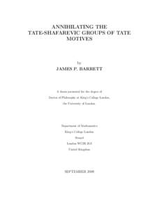 ANNIHILATING THE TATE-SHAFAREVIC GROUPS OF TATE MOTIVES by JAMES P. BARRETT