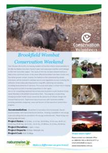 Brookfield Wombat Conservation Weekend Over the past 18 months, increasing numbers of Southern Hairy-nosed wombats in the Murray Mallee have been found in poor and emaciated condition with damage to their skin and other 