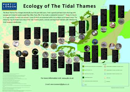 Ecology of The Tidal Thames The River Thames has changed drastically over the past 600 years. From a grossly polluted river churning with sewage and industrial waste supporting little, if any, life; it has made a substan