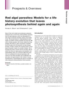 Prospects & Overviews Review essays Red algal parasites: Models for a life history evolution that leaves photosynthesis behind again and again