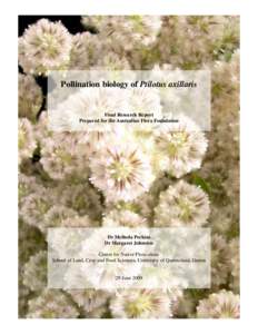 Pollination biology of Ptilotus axillaris  Final Research Report Prepared for the Australian Flora Foundation  Dr Melinda Perkins
