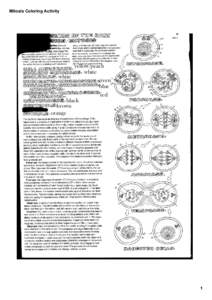 Mitosis Coloring Activity  yellow/peach white white green