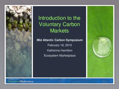 Introduction to the Voluntary Carbon Markets Mid Atlantic Carbon Symposium February 16, 2010 Katherine Hamilton
