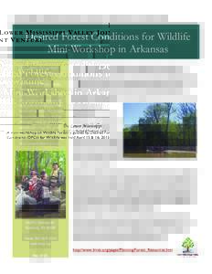 L OW E R M I S S I S S I P P I V A L L E Y J O I N T V E N T U R E  Desired Forest Conditions for Wildlife Mini-Workshop in Arkansas The Lower Mississippi Valley Joint Venture is a