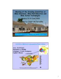 Microsoft PowerPoint - Guinea Bissau Geneva Art 5 presentation.ppt
