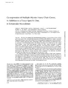 Published August 1, 1985  Co-expression of Multiple Myosin Heavy Chain Genes, In Addition to a Tissue-Specific One, in Extraocular Musculature