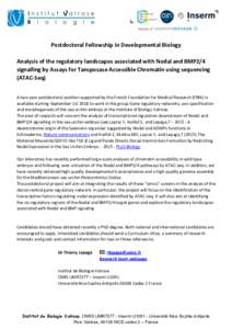  Postdoctoral	Fellowship	in	Developmental	Biology	 	 Analysis	of	the	regulatory	landscapes	associated	with	Nodal	and	BMP2/4
