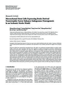 Mesenchymal Stem Cells Expressing Brain-Derived Neurotrophic Factor Enhance Endogenous Neurogenesis in an Ischemic Stroke Model