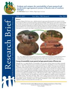 Evaluate and compare the sustainability of pure pastoral and its derivative agro-pastoral systems in Borana zone of southern Ethiopia Research Brief
