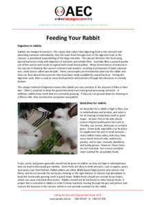 Australia’s state-of-the-art pet emergency trauma centres  Feeding Your Rabbit Digestion in rabbits Rabbits are hindgut fermenters. This means that rather than digesting food in the stomach and absorbing nutrients imme