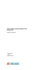 PUBLIC CONSULTATION ON MARINE LITTERAN ANALYSIS EUROPEAN COMMISION 31 January 2014 : - Final C03041[removed]