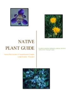 NATIVE PLANT GUIDE Native Plant Society of Texas-Houston Chapter Linda Knowles - President  A guide to selecting wildflowers, grasses, and ferns