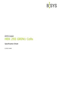 B’SYS GmbH  HEK 293 GRIN1 Cells Specification Sheet © B’SYS GmbH