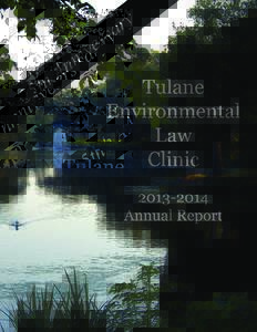 Tulane University / Legal education / Law / Tulane Environmental Law Clinic / Tulane University Law School / Legal clinic / Tulane Environmental Law Journal / Louisiana